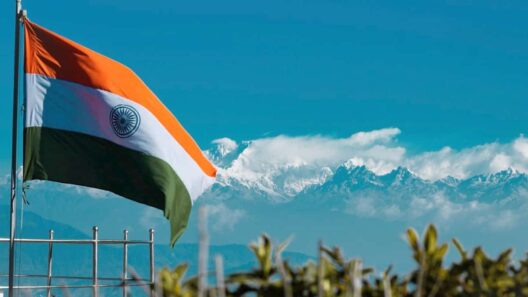 Australia will offer work and holiday visas to Indian citizens