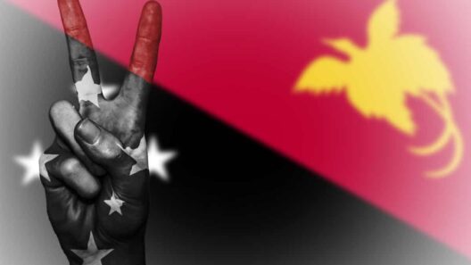 Papua New Guinea flag