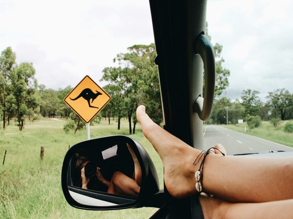 Road tripping in NSW