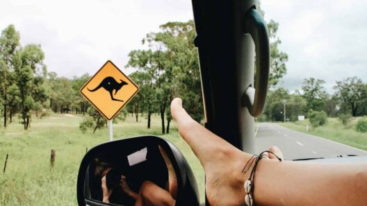 Road tripping in NSW